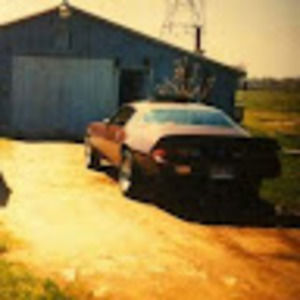 Meet your Posher, Buddy